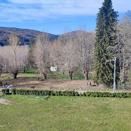Loricalabria-Appartamento Lorica Le Macchie Екстериор снимка